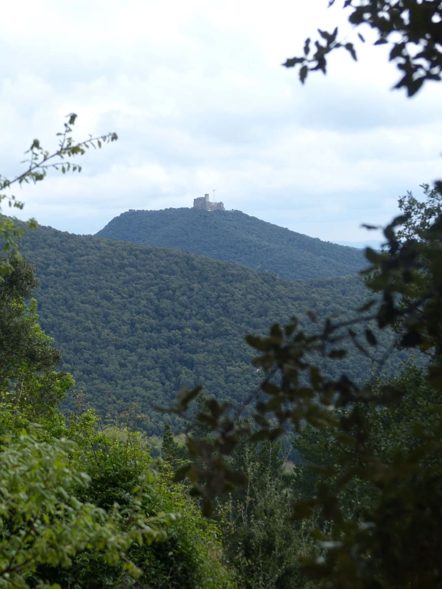 36 bedroom Finca/Country House for sale in Montseny with garage - € 4,213,000 (Ref: 8854624)