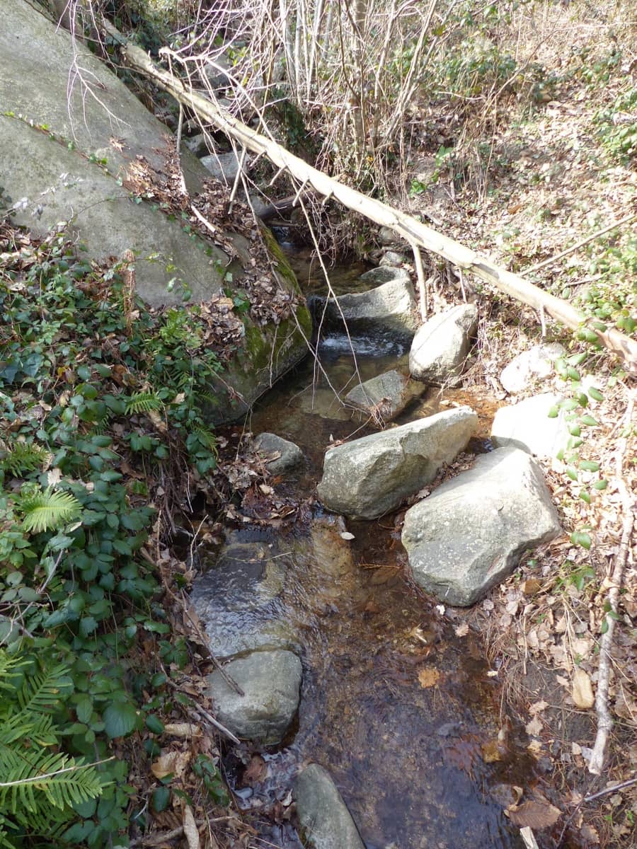 36 bedroom Finca/Country House for sale in Montseny with garage - € 4,213,000 (Ref: 8854624)