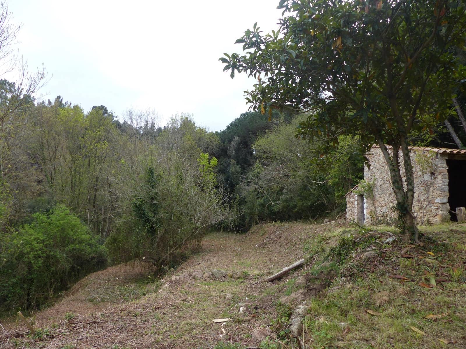 36 bedroom Finca/Country House for sale in Montseny with garage - € 4,213,000 (Ref: 8854624)