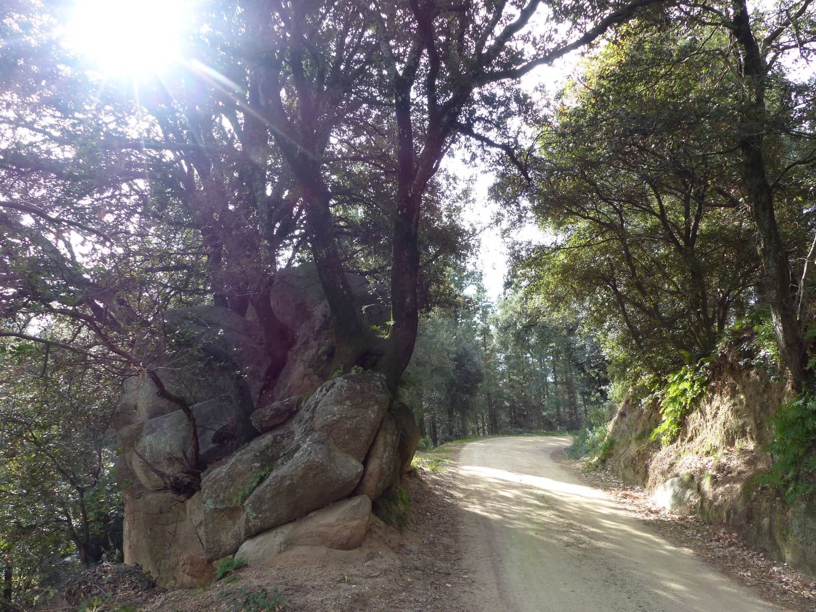 36 bedroom Finca/Country House for sale in Montseny with garage - € 4,213,000 (Ref: 8854624)