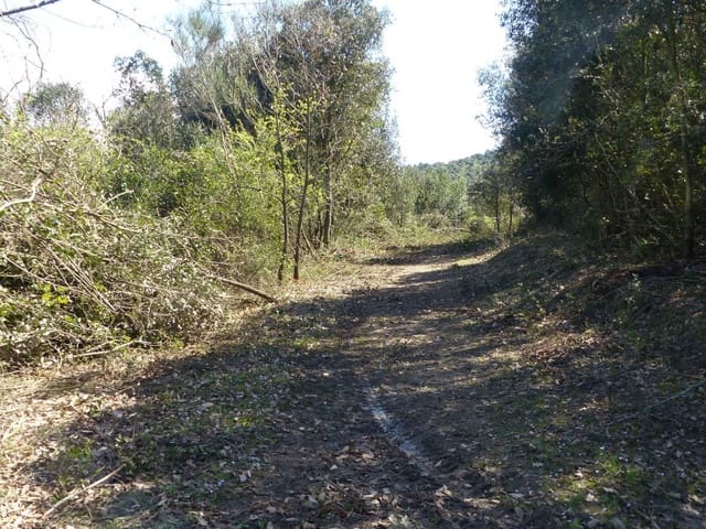 Finca/Landehus til salg i Maçanet de la Selva - € 117.000 (Ref: 8903285)