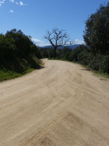 Finca/Landehus til salg i Maçanet de la Selva - € 117.000 (Ref: 8903285)