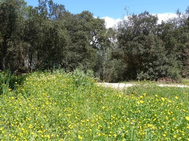 Finca/Landehus til salg i Maçanet de la Selva - € 117.000 (Ref: 8903285)