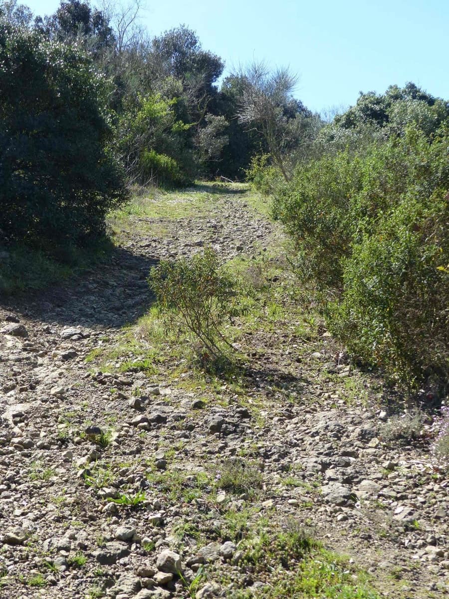 Finca/Herregård til salgs i Macanet de la Selva - € 117 000 (Ref: 8903285)