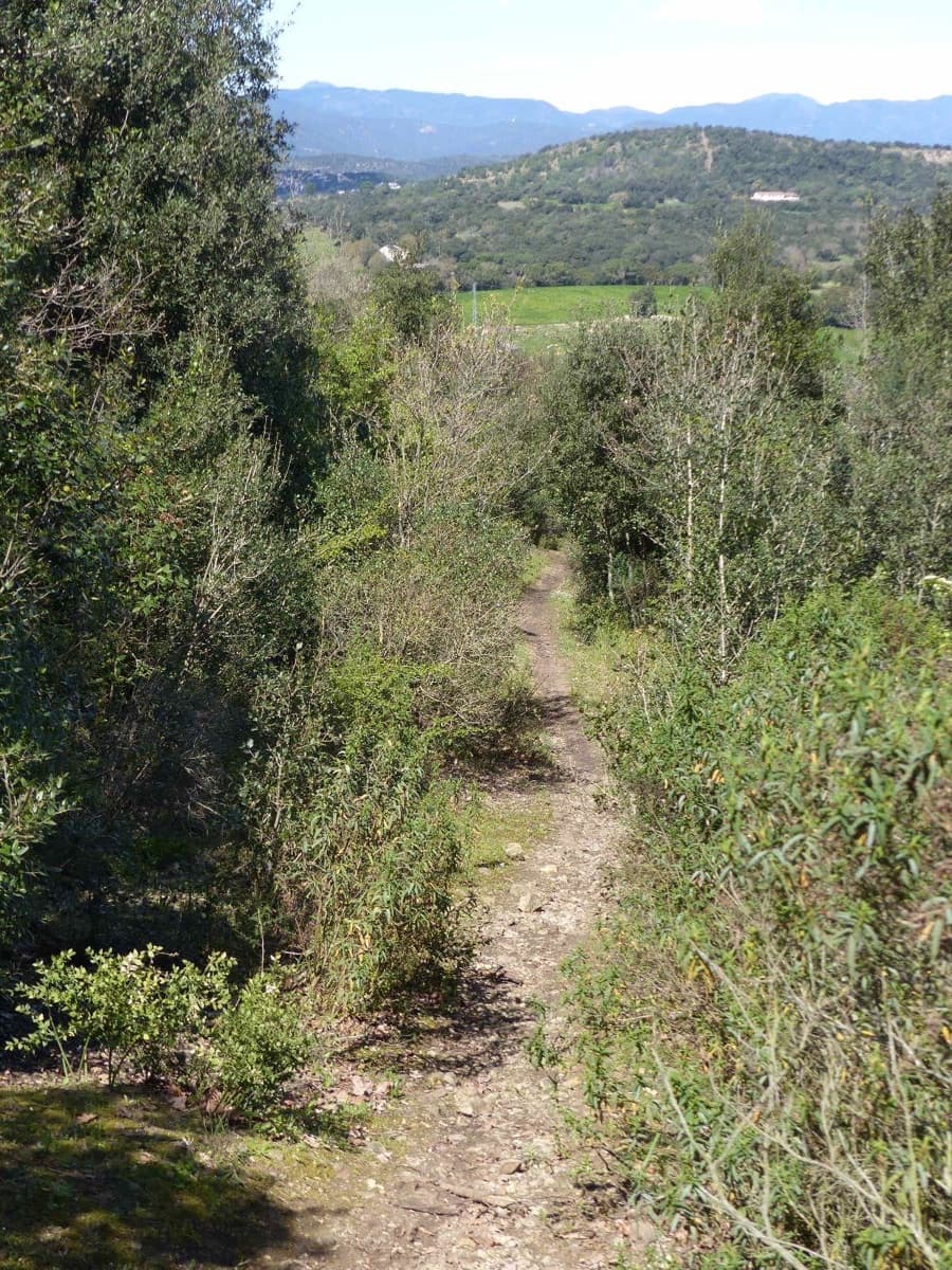 Finca/Herregård til salgs i Macanet de la Selva - € 117 000 (Ref: 8903285)