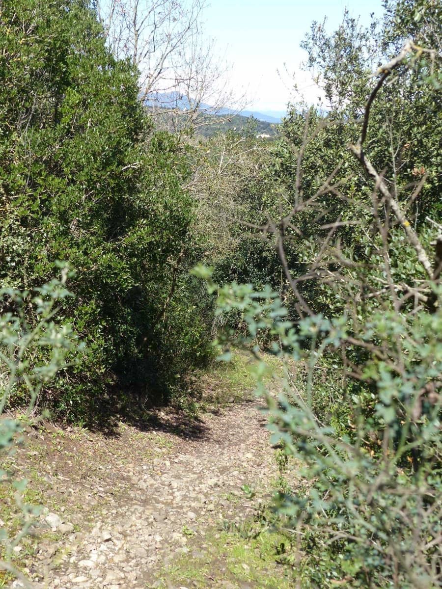 Finca/Herregård til salgs i Macanet de la Selva - € 117 000 (Ref: 8903285)