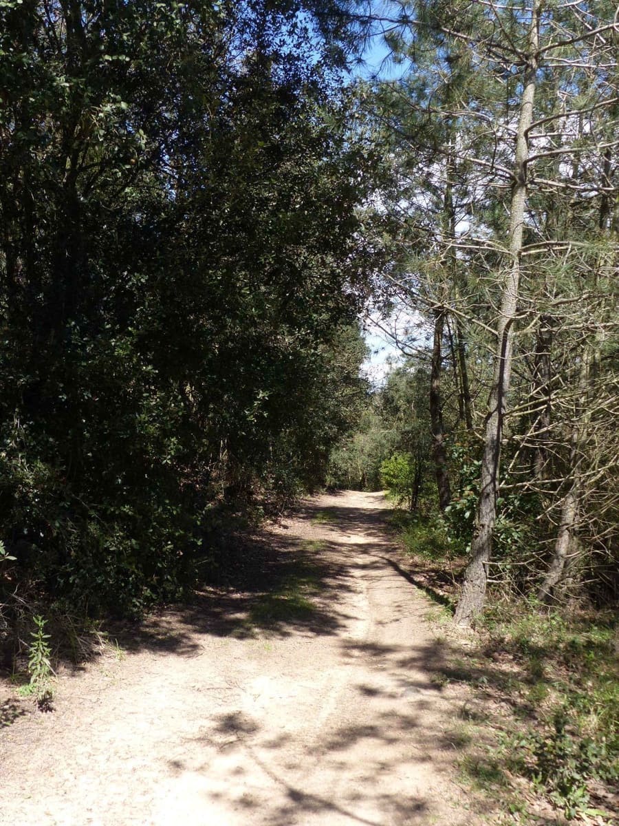 Finca/Herregård til salgs i Macanet de la Selva - € 117 000 (Ref: 8903285)