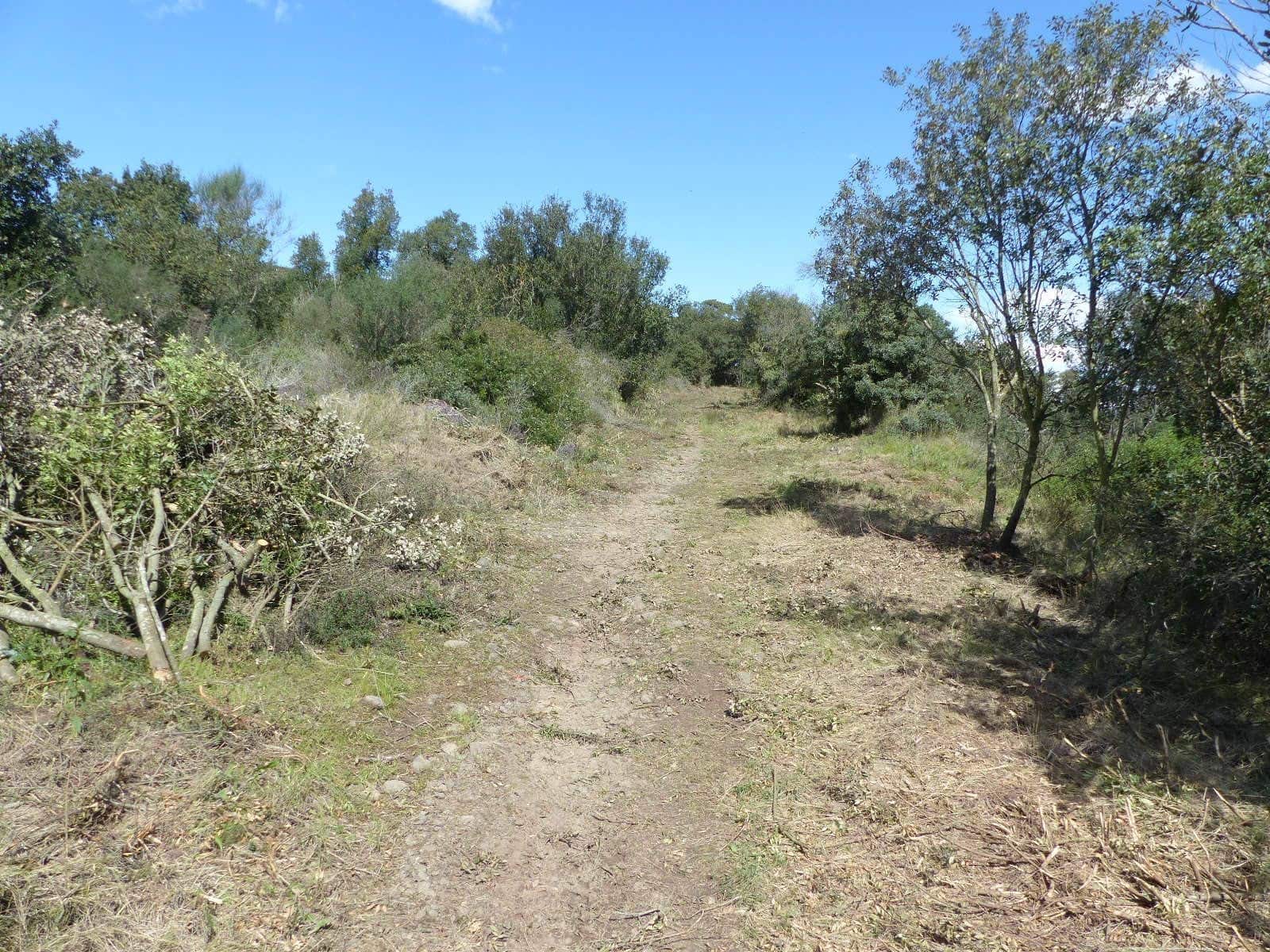 Finca/Herregård til salgs i Macanet de la Selva - € 117 000 (Ref: 8903285)