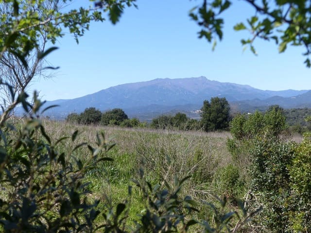 Finca/Landehus til salg i Maçanet de la Selva - € 117.000 (Ref: 8903285)