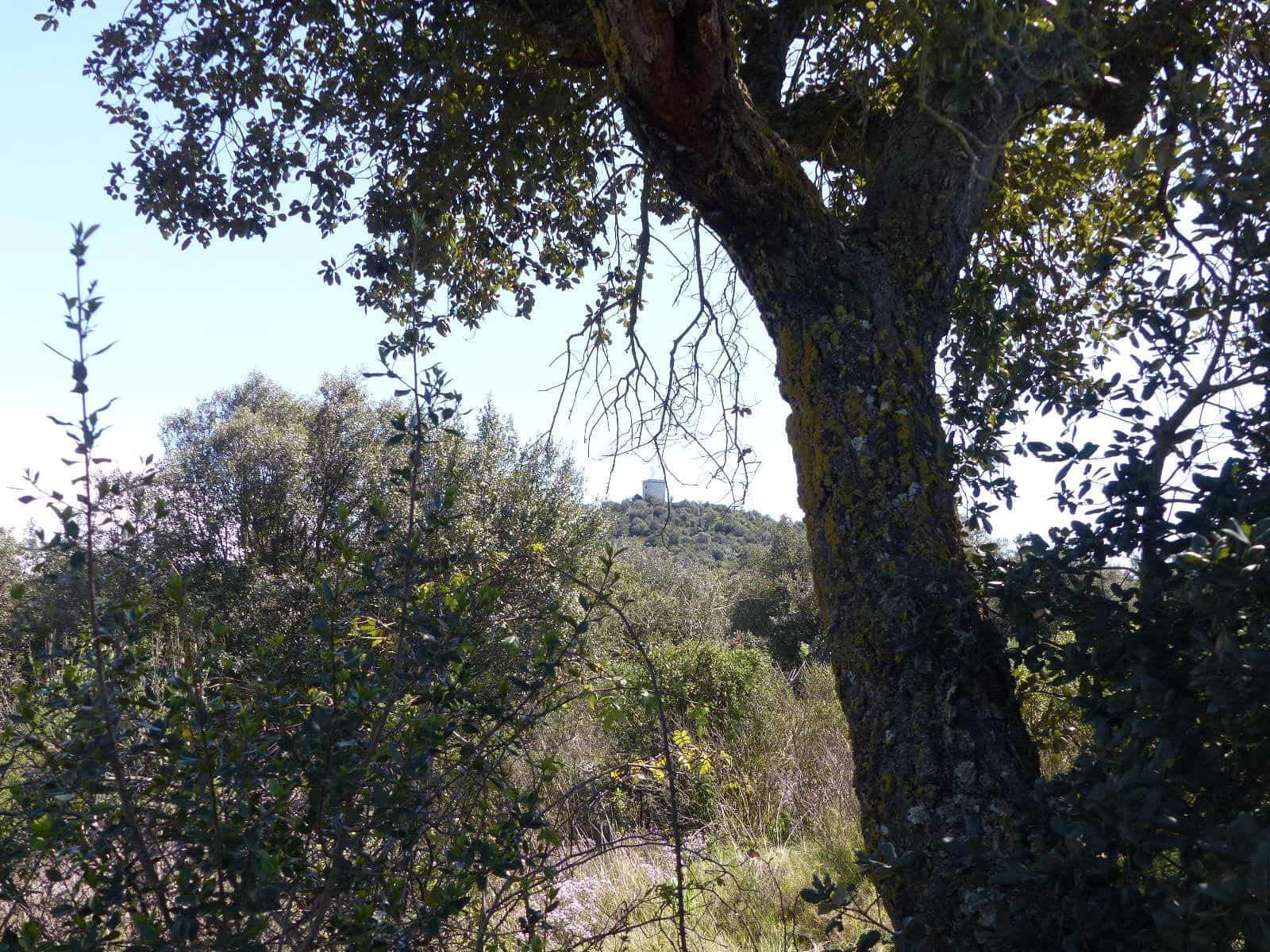 Finca/Herregård til salgs i Macanet de la Selva - € 117 000 (Ref: 8903285)