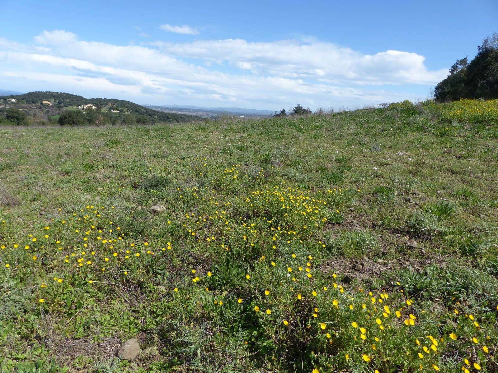 Finca/Herregård til salgs i Macanet de la Selva - € 117 000 (Ref: 8903285)