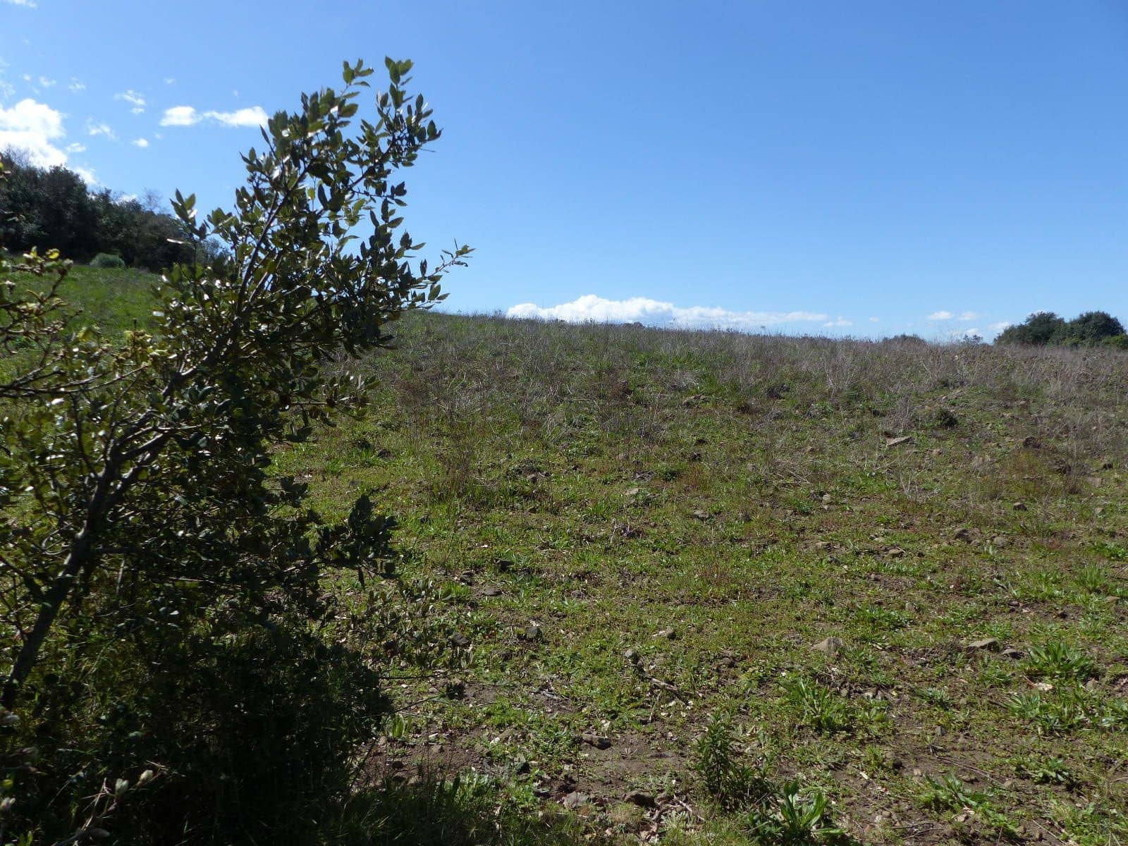 Finca/Herregård til salgs i Macanet de la Selva - € 117 000 (Ref: 8903285)