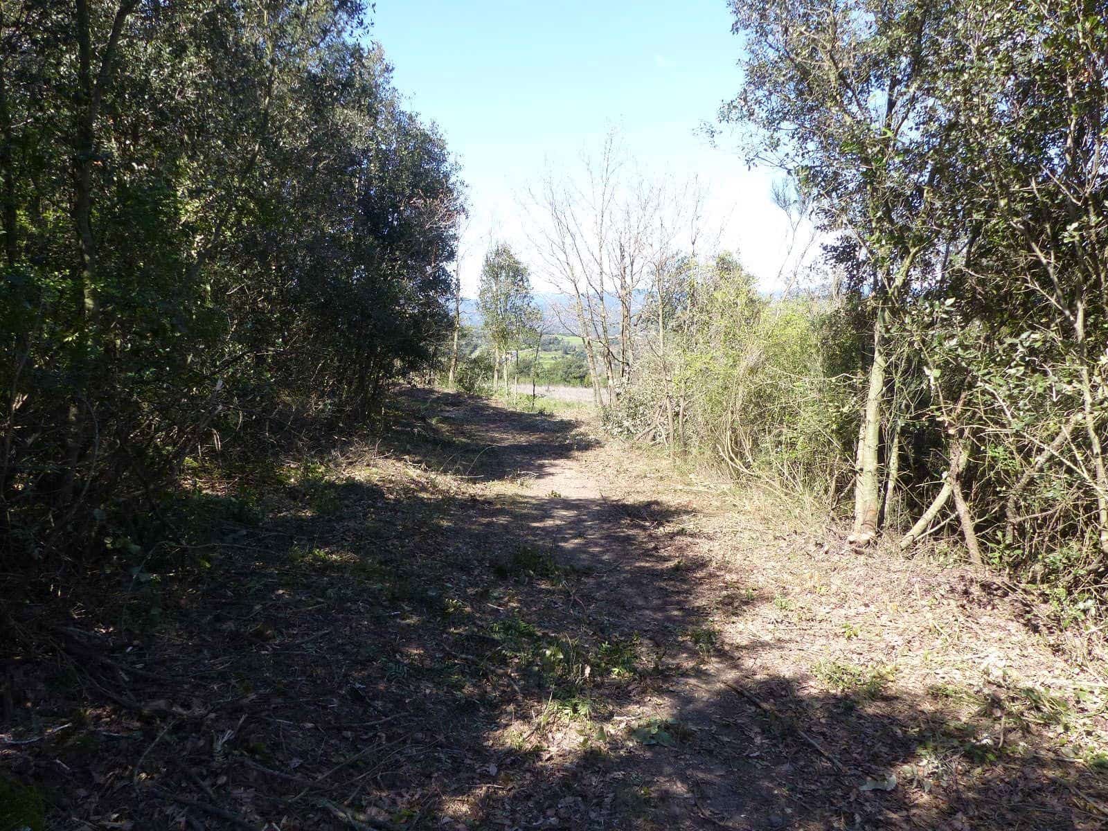 Finca/Herregård til salgs i Macanet de la Selva - € 117 000 (Ref: 8903285)