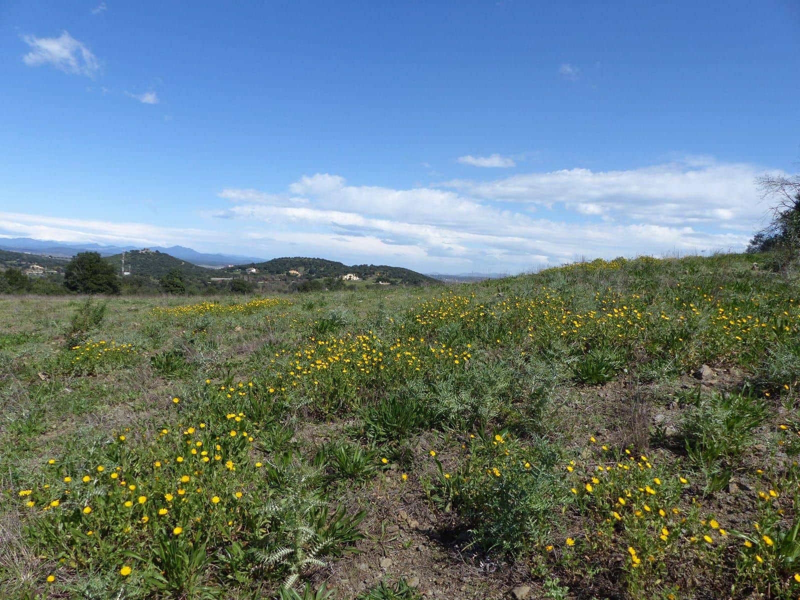 Finca/Herregård til salgs i Macanet de la Selva - € 117 000 (Ref: 8903285)