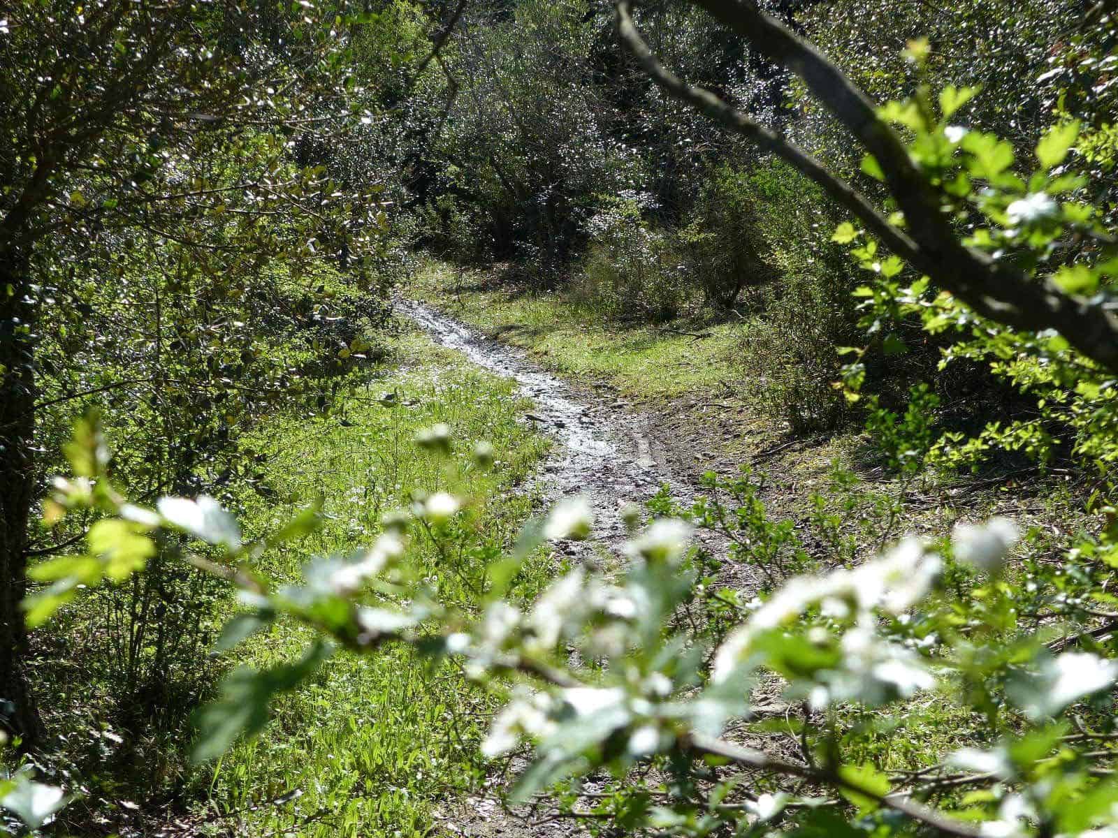 Finca/Herregård til salgs i Macanet de la Selva - € 117 000 (Ref: 8903285)