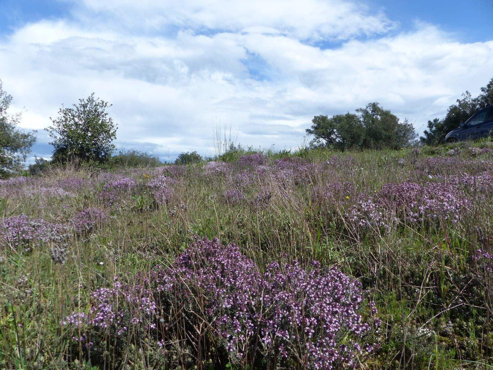 Finca/Herregård til salgs i Macanet de la Selva - € 117 000 (Ref: 8903285)