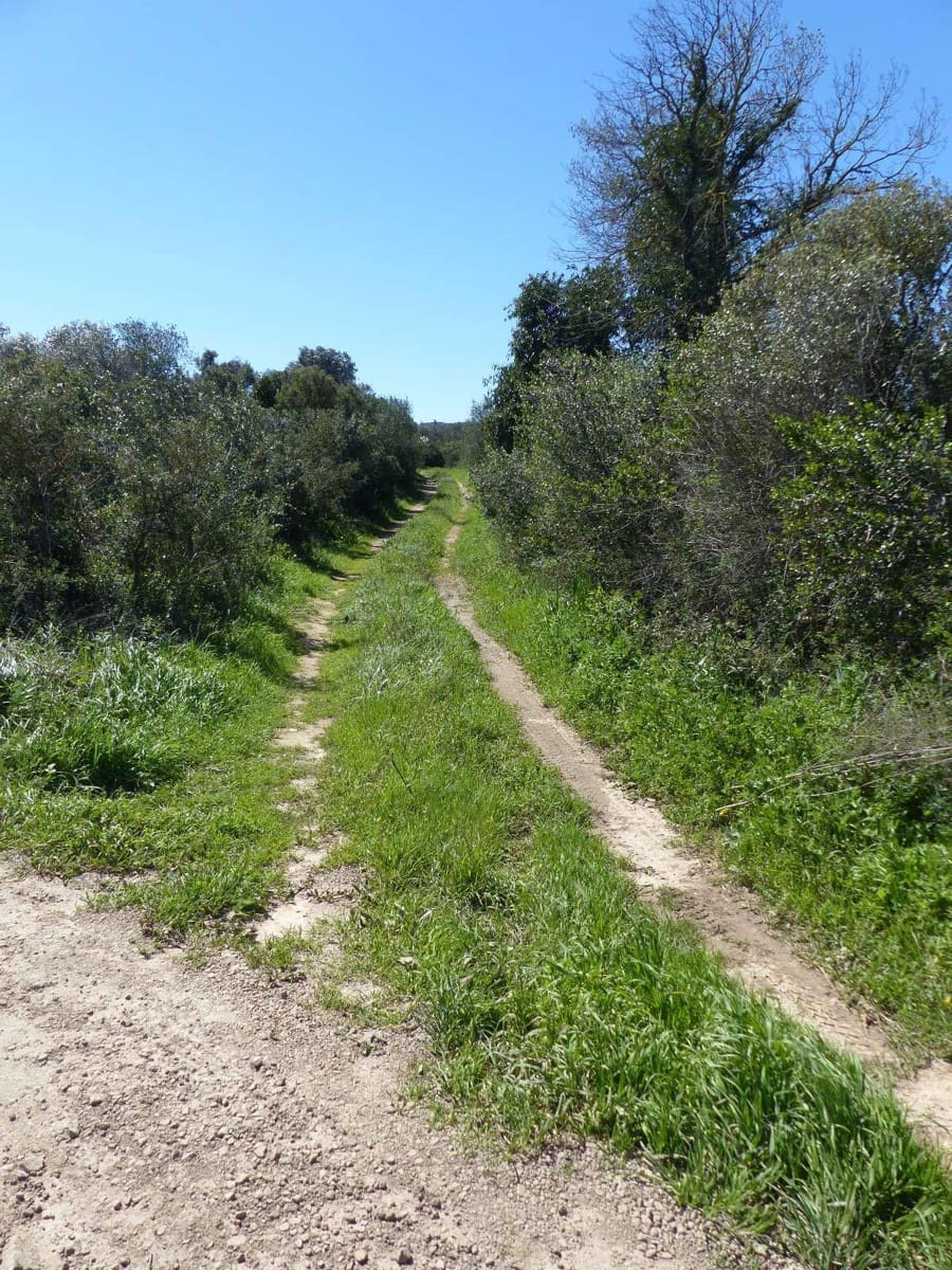 6 bedroom Finca/Country House for sale in Cabanes with pool - € 890,000 (Ref: 8930264)