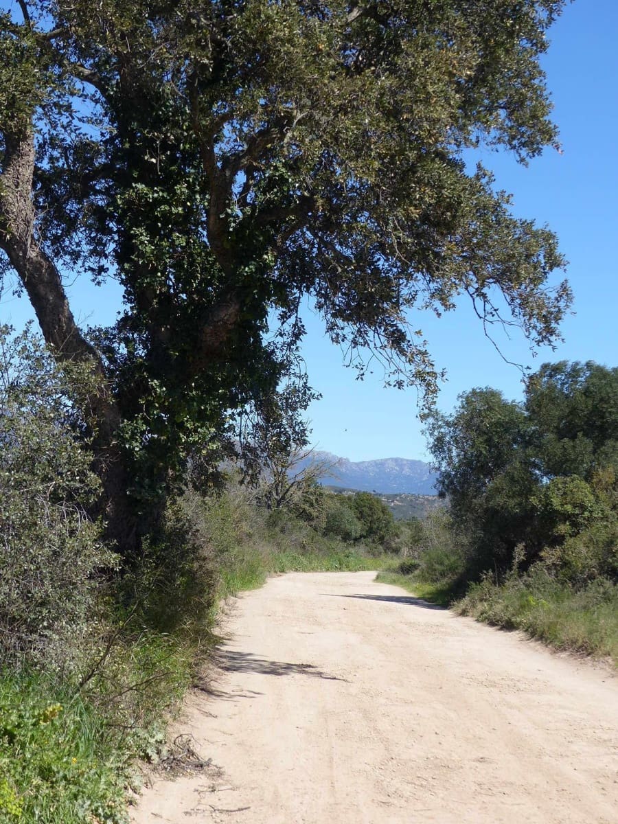 6 bedroom Finca/Country House for sale in Cabanes with pool - € 890,000 (Ref: 8930264)