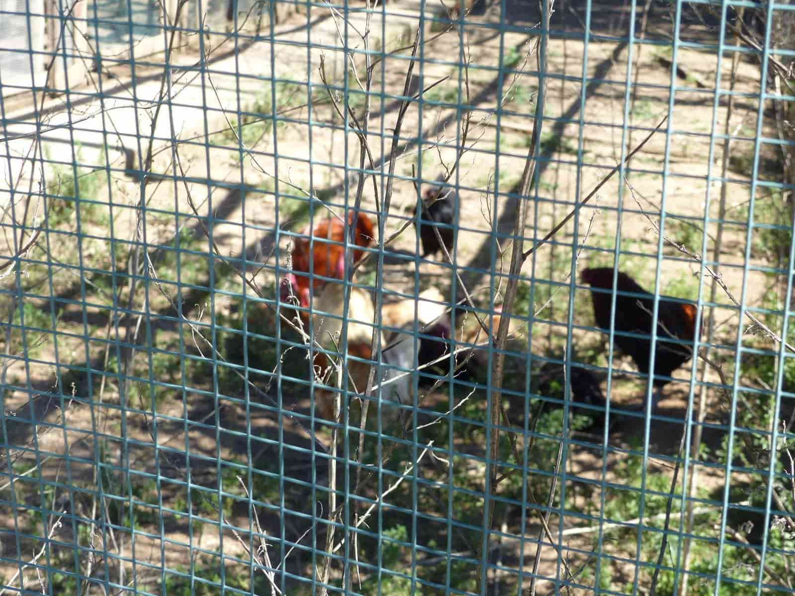 6 bedroom Finca/Country House for sale in Cabanes with pool - € 890,000 (Ref: 8930264)