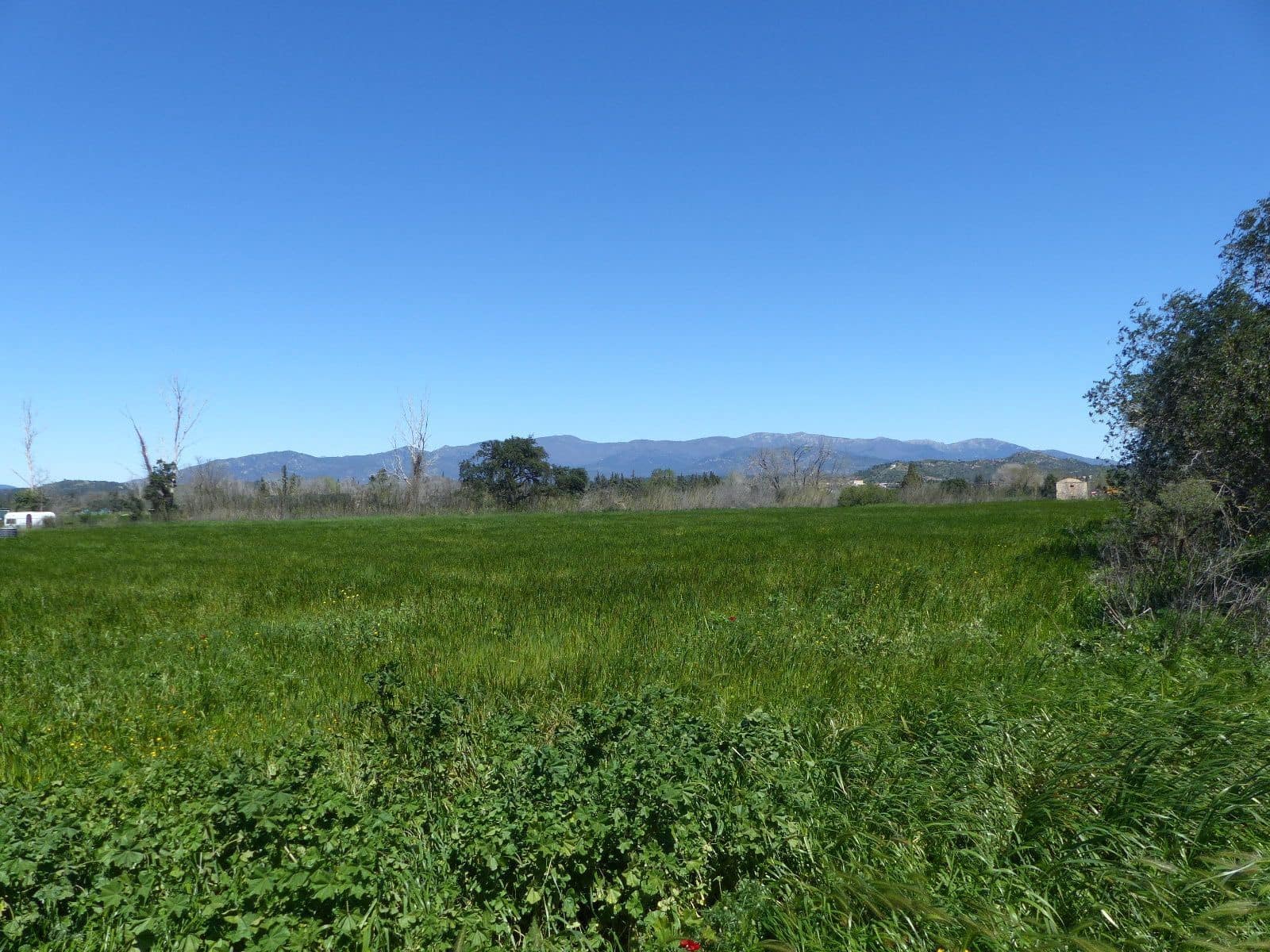 6 bedroom Finca/Country House for sale in Cabanes with pool - € 890,000 (Ref: 8930264)