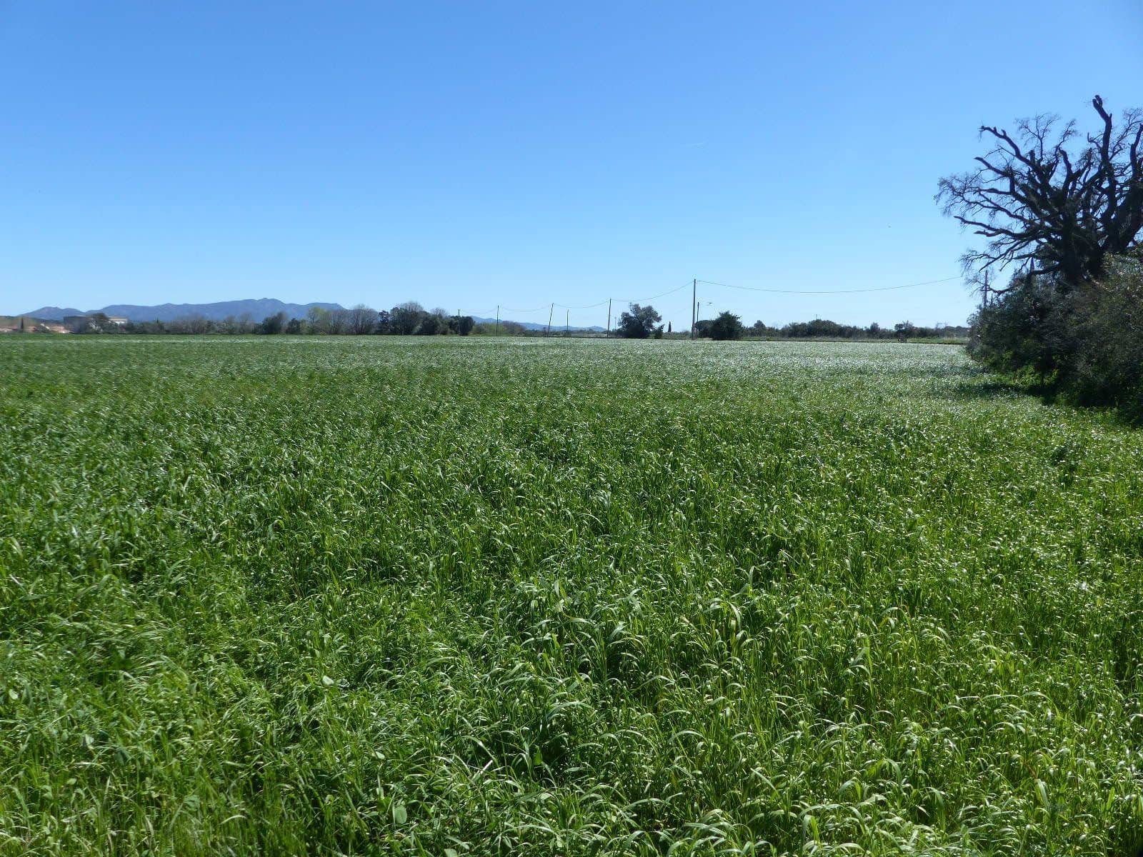 6 bedroom Finca/Country House for sale in Cabanes with pool - € 890,000 (Ref: 8930264)