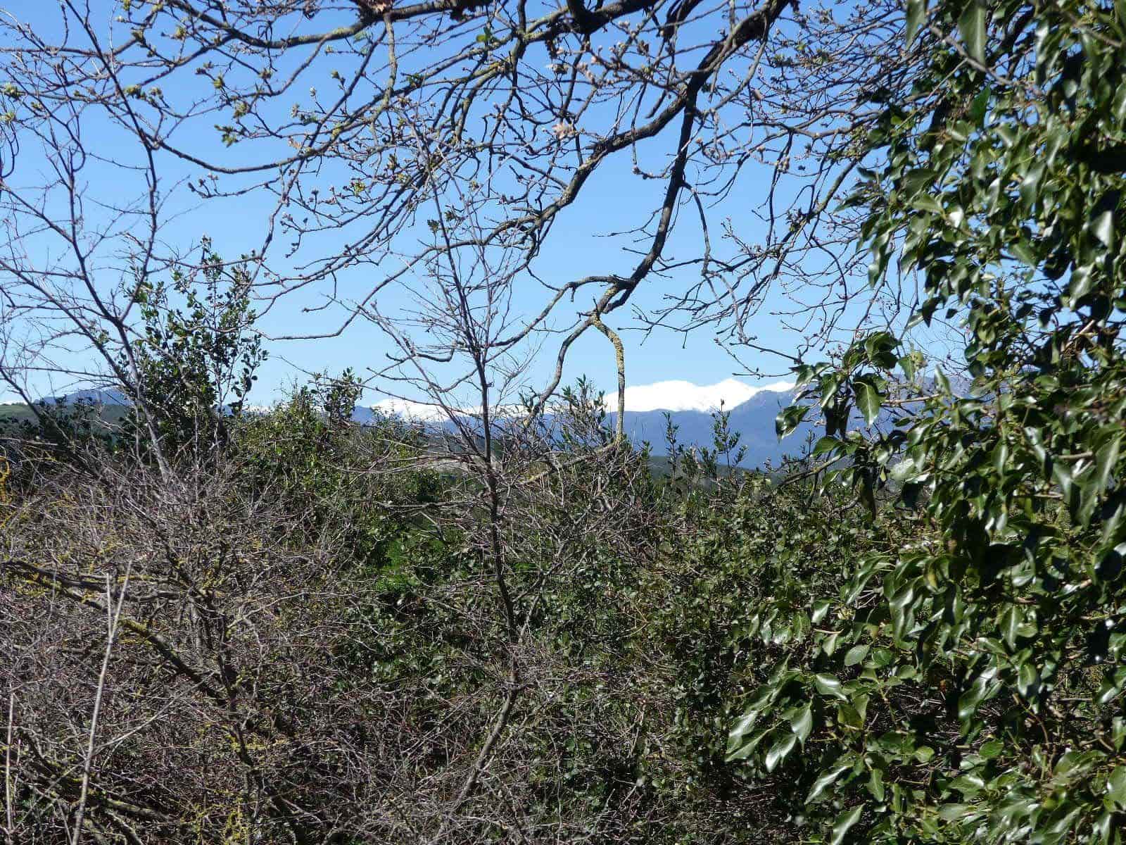 6 bedroom Finca/Country House for sale in Cabanes with pool - € 890,000 (Ref: 8930264)