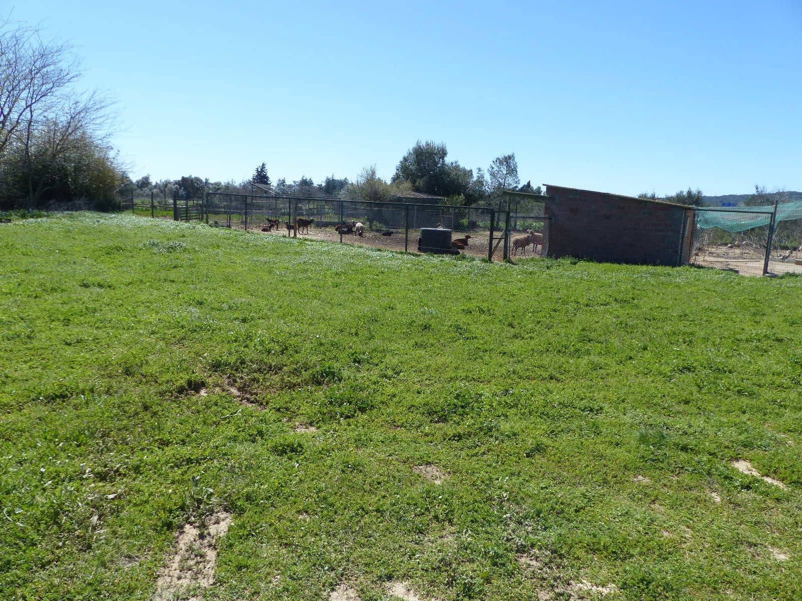 6 bedroom Finca/Country House for sale in Cabanes with pool - € 890,000 (Ref: 8930264)