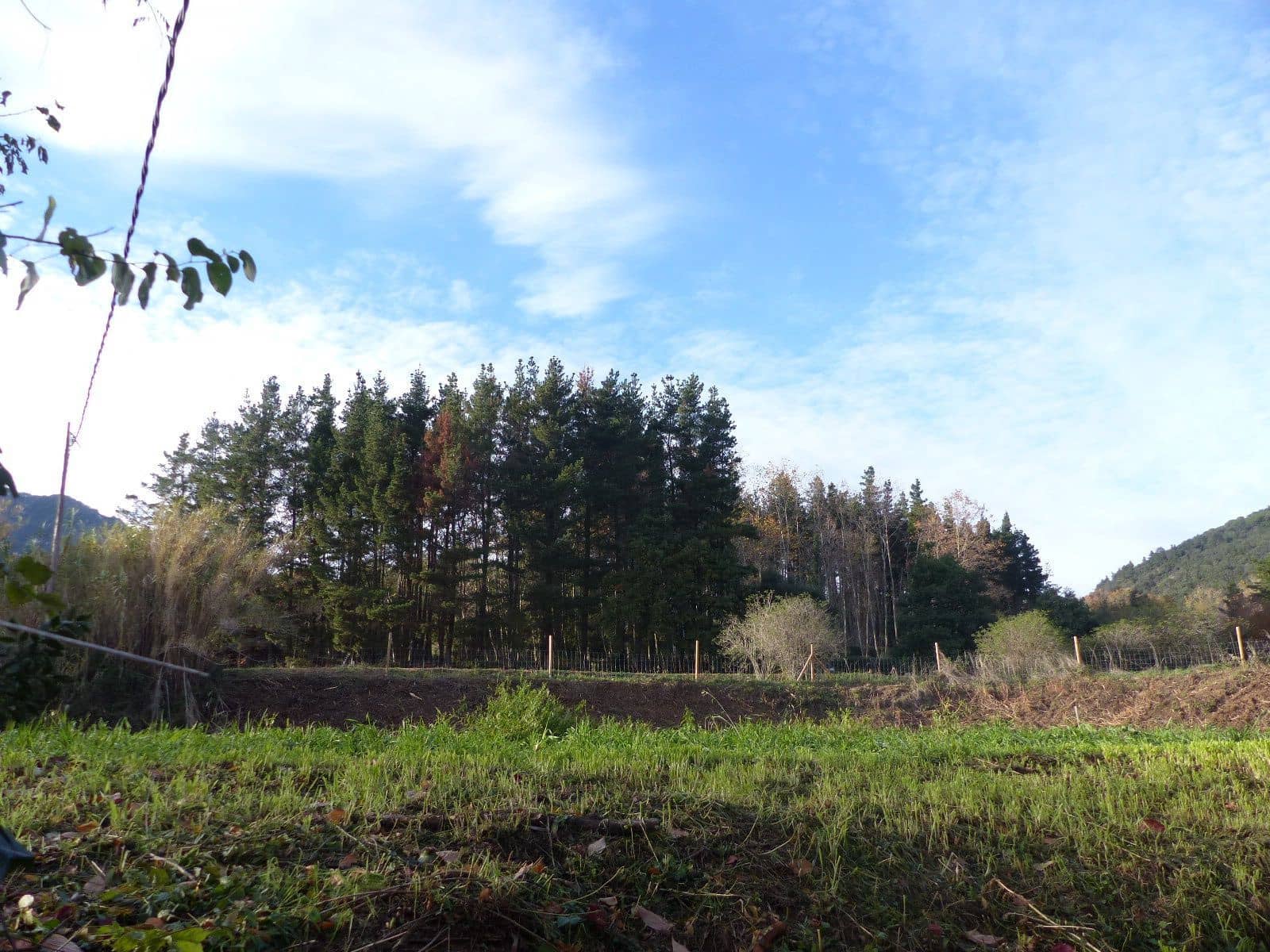 4 soverom Finca/Herregård til salgs i Montseny med garasje - € 325 000 (Ref: 8941158)