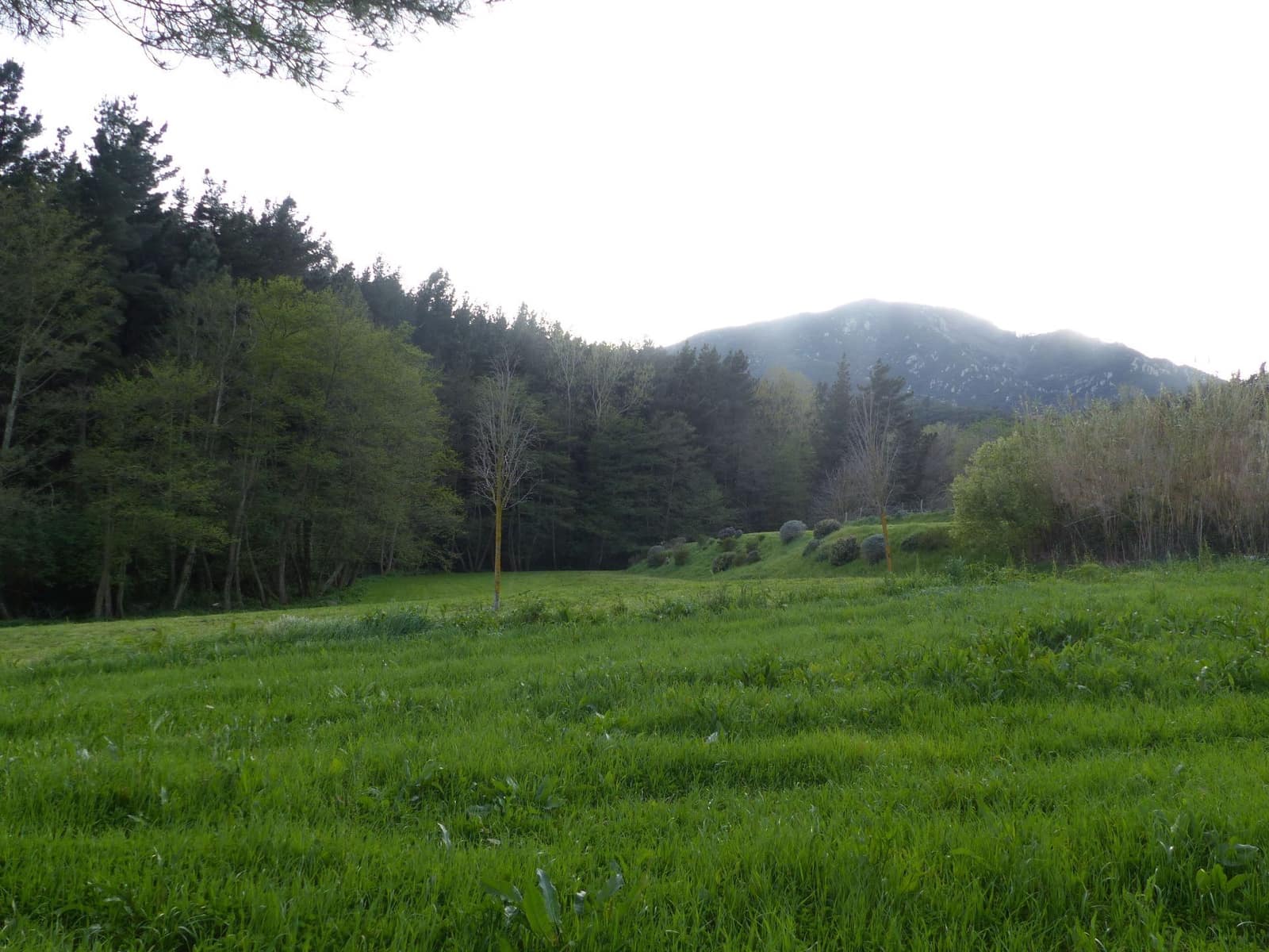 4 soverom Finca/Herregård til salgs i Montseny med garasje - € 325 000 (Ref: 8941158)