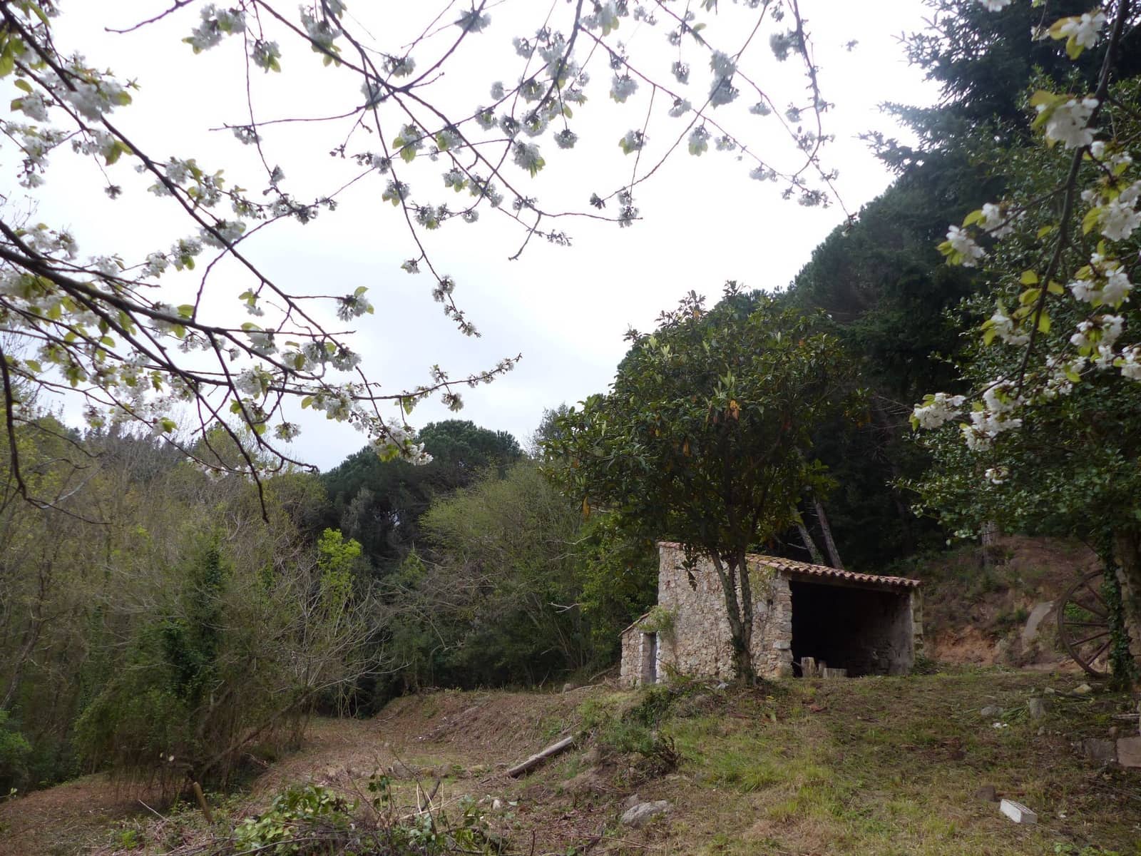 3 soveværelse Finca/Landehus til salg i Riells i Viabrea med garage - € 425.000 (Ref: 8952462)