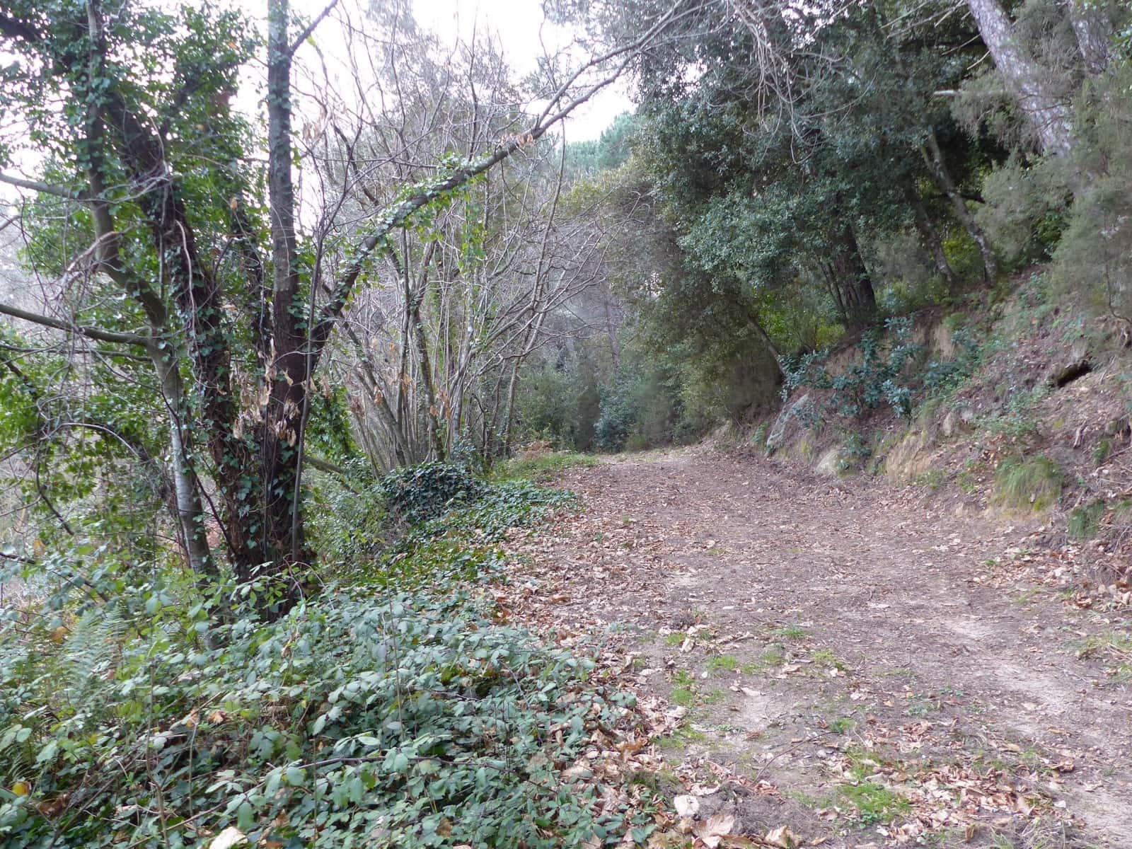 3 soveværelse Finca/Landehus til salg i Riells i Viabrea med garage - € 425.000 (Ref: 8952462)