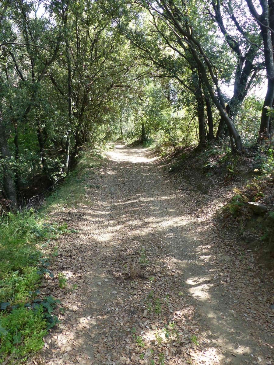 8 soveværelse Villa til salg i Fogars de Montclus - € 850.000 (Ref: 9050767)