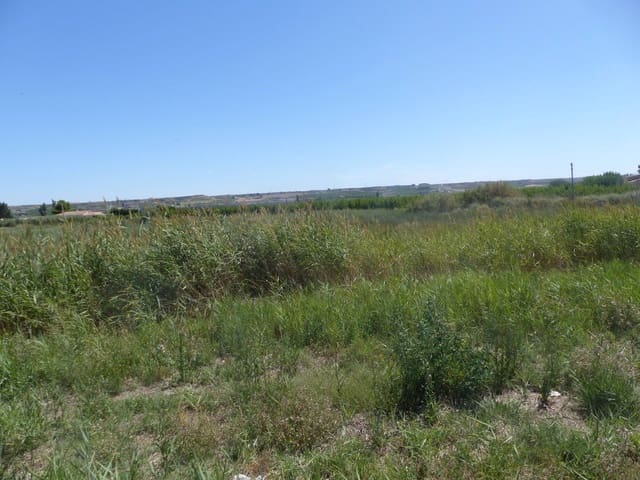 1 bedroom Finca/Country House for sale in Huesca city - € 990,000 (Ref: 9050769)