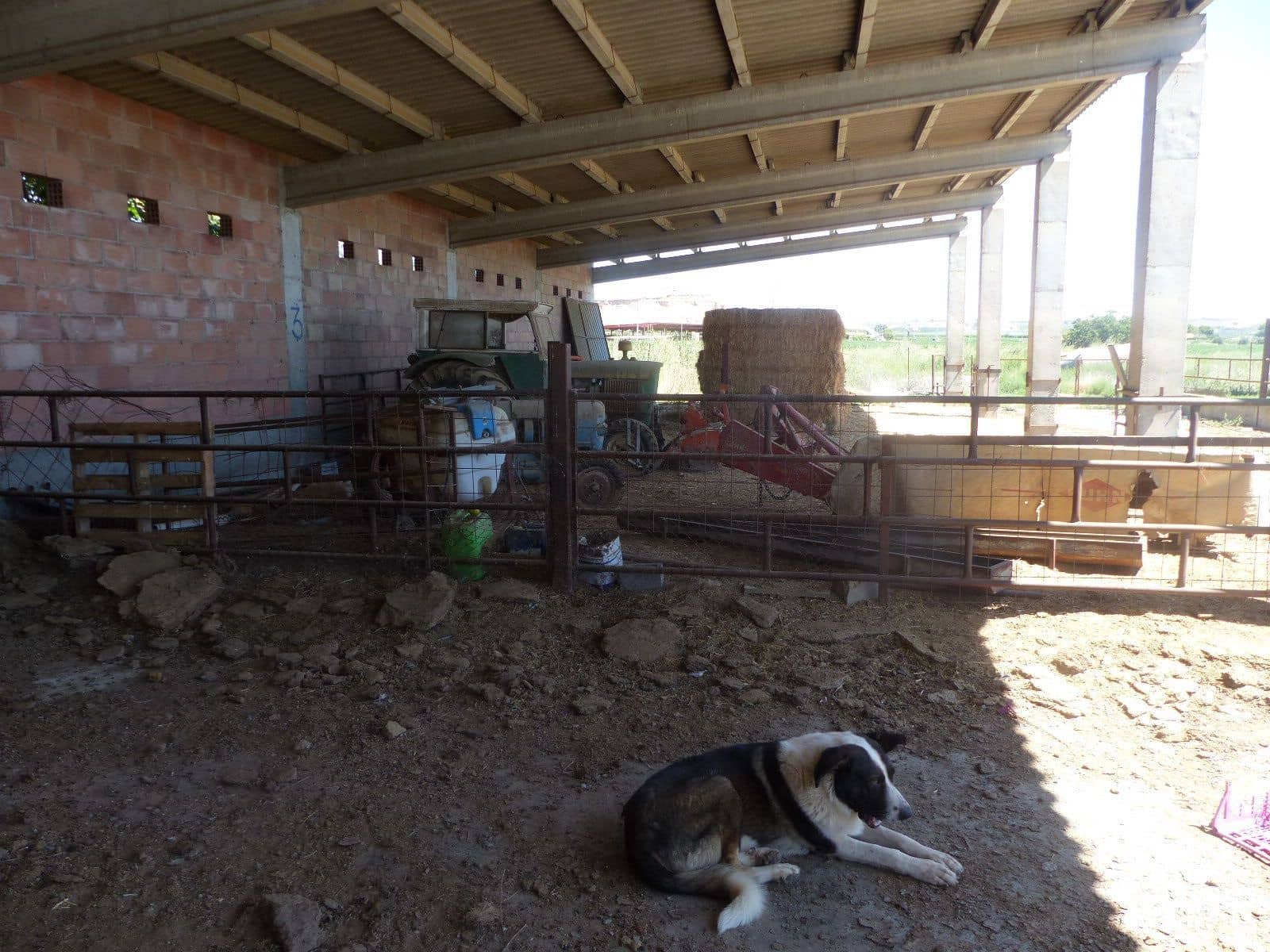 1 soveværelse Finca/Landehus til salg i Huesca by - € 990.000 (Ref: 9050769)