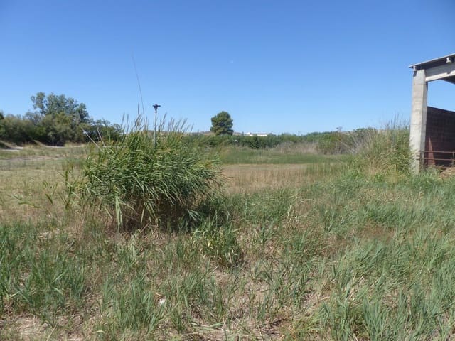 1 bedroom Finca/Country House for sale in Huesca city - € 990,000 (Ref: 9050769)