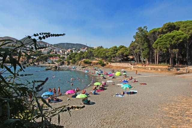 23 camera da letto Hotel in vendita in Llançà - 2.200.000 € (Rif: 9068647)