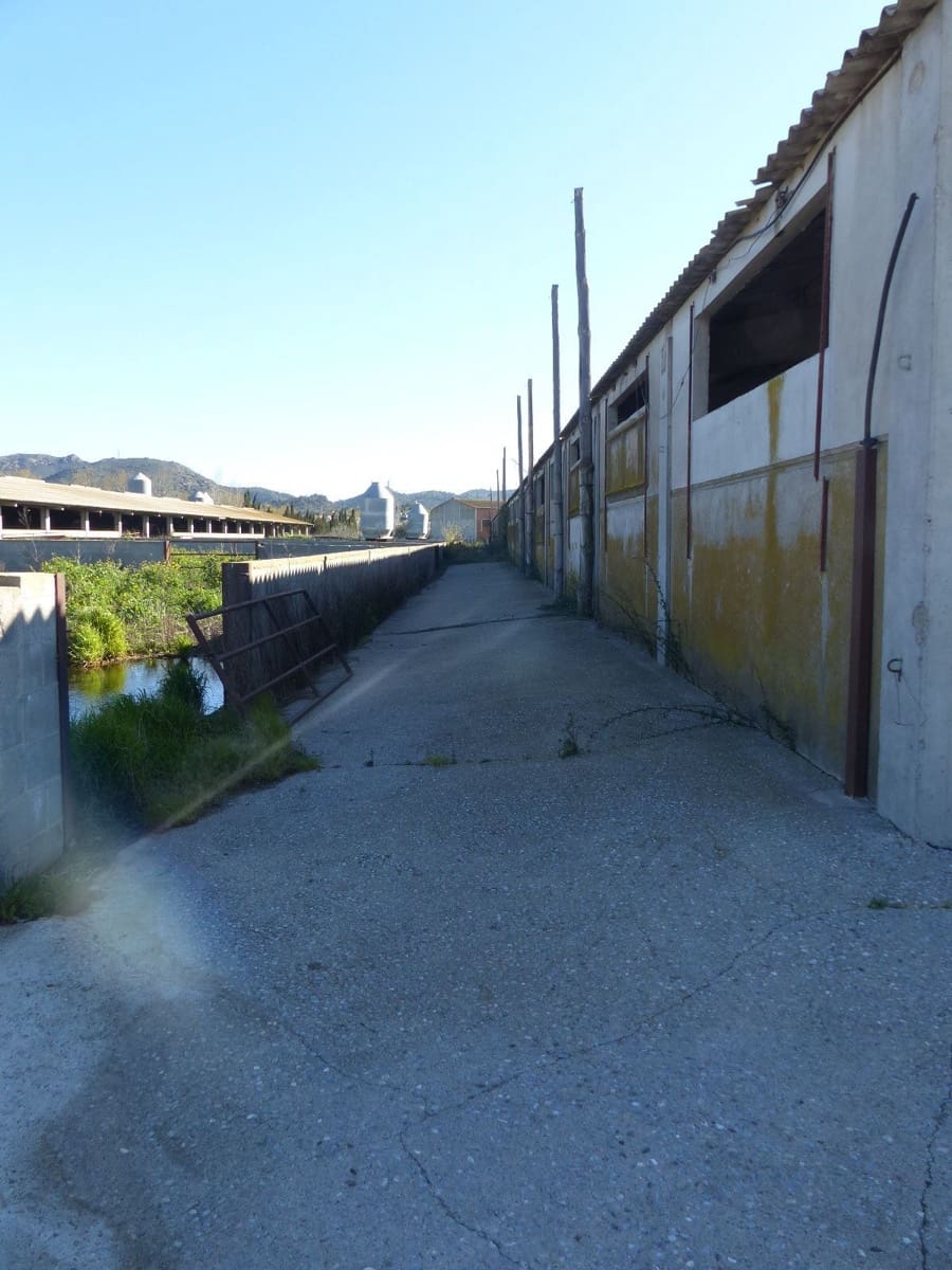 Finca/Landehus til salg i Vilajuiga - € 850.000 (Ref: 9068648)