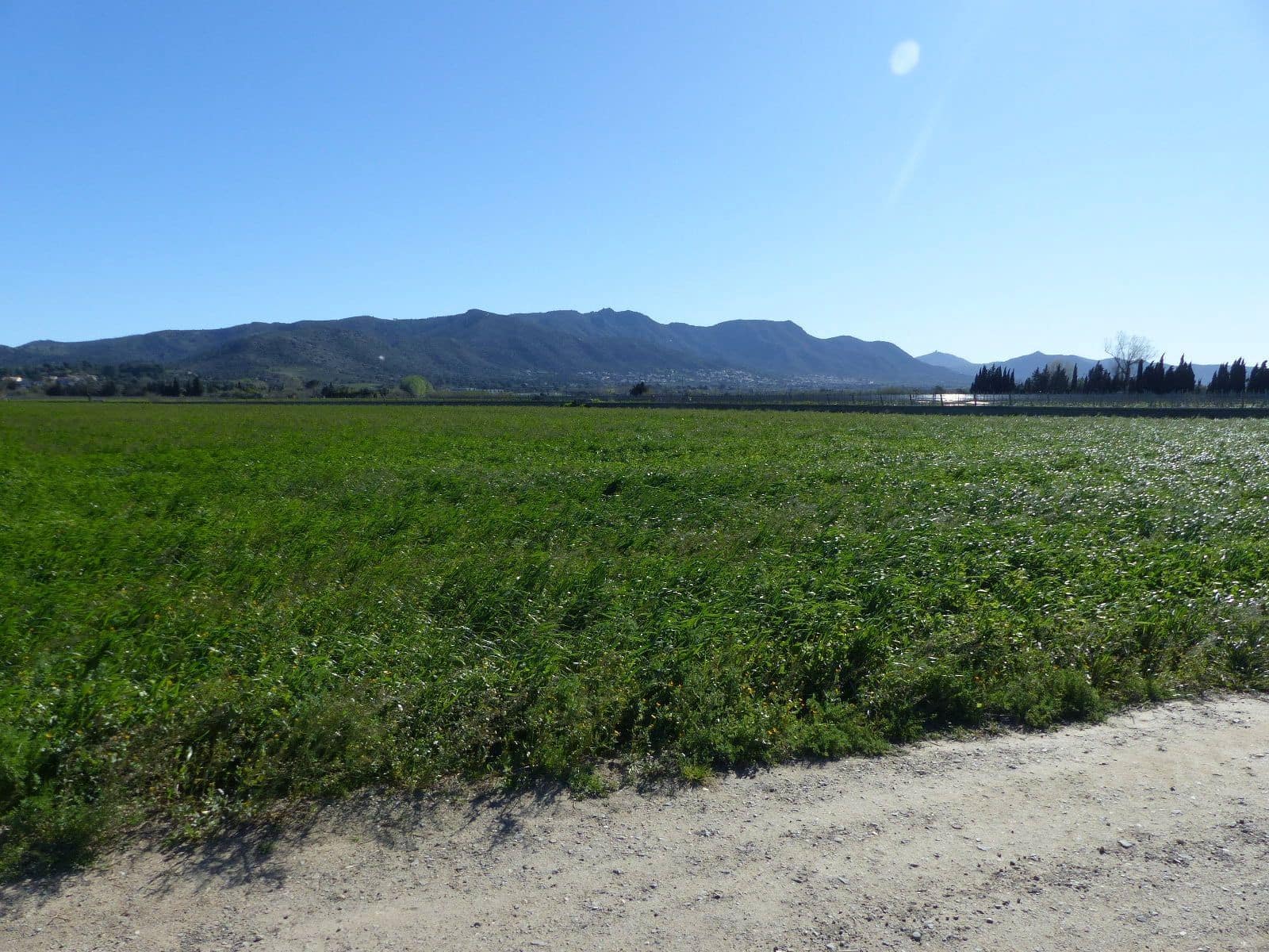 Finca/Landehus til salg i Vilajuiga - € 850.000 (Ref: 9068648)