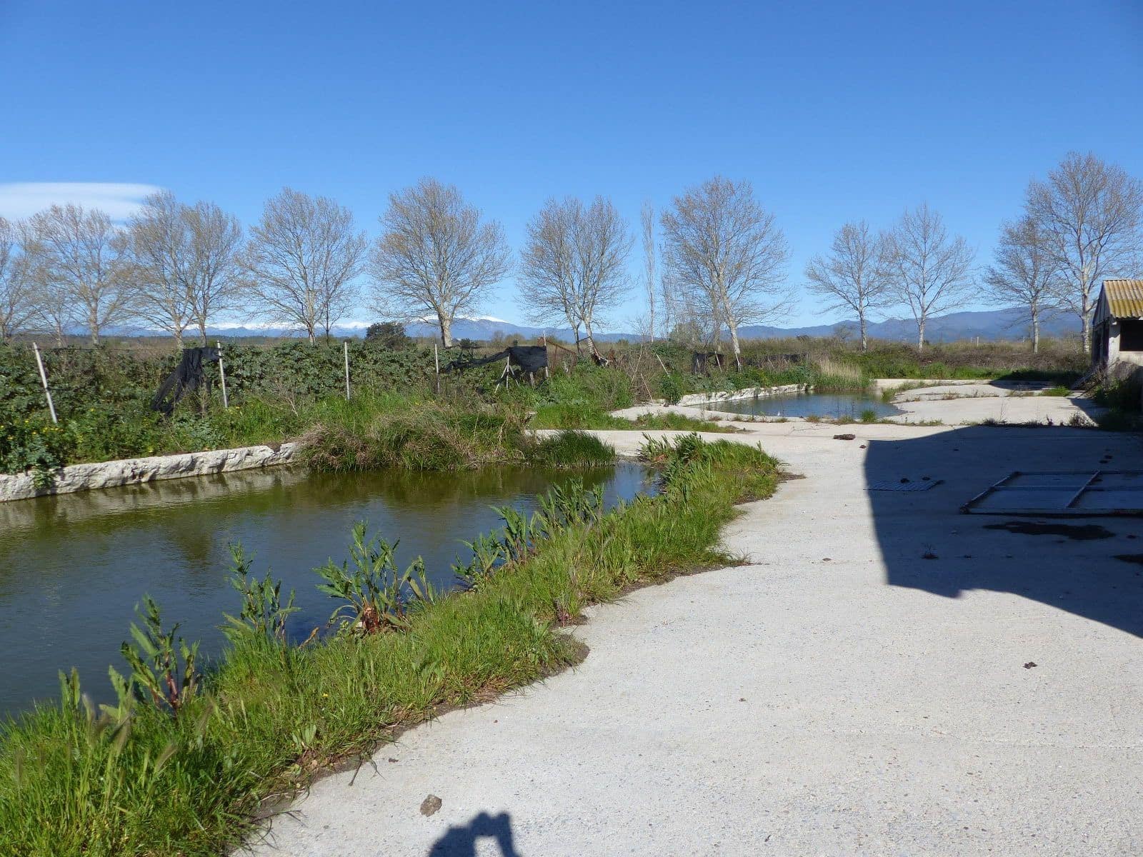 Finca/Landehus til salg i Vilajuiga - € 850.000 (Ref: 9068648)