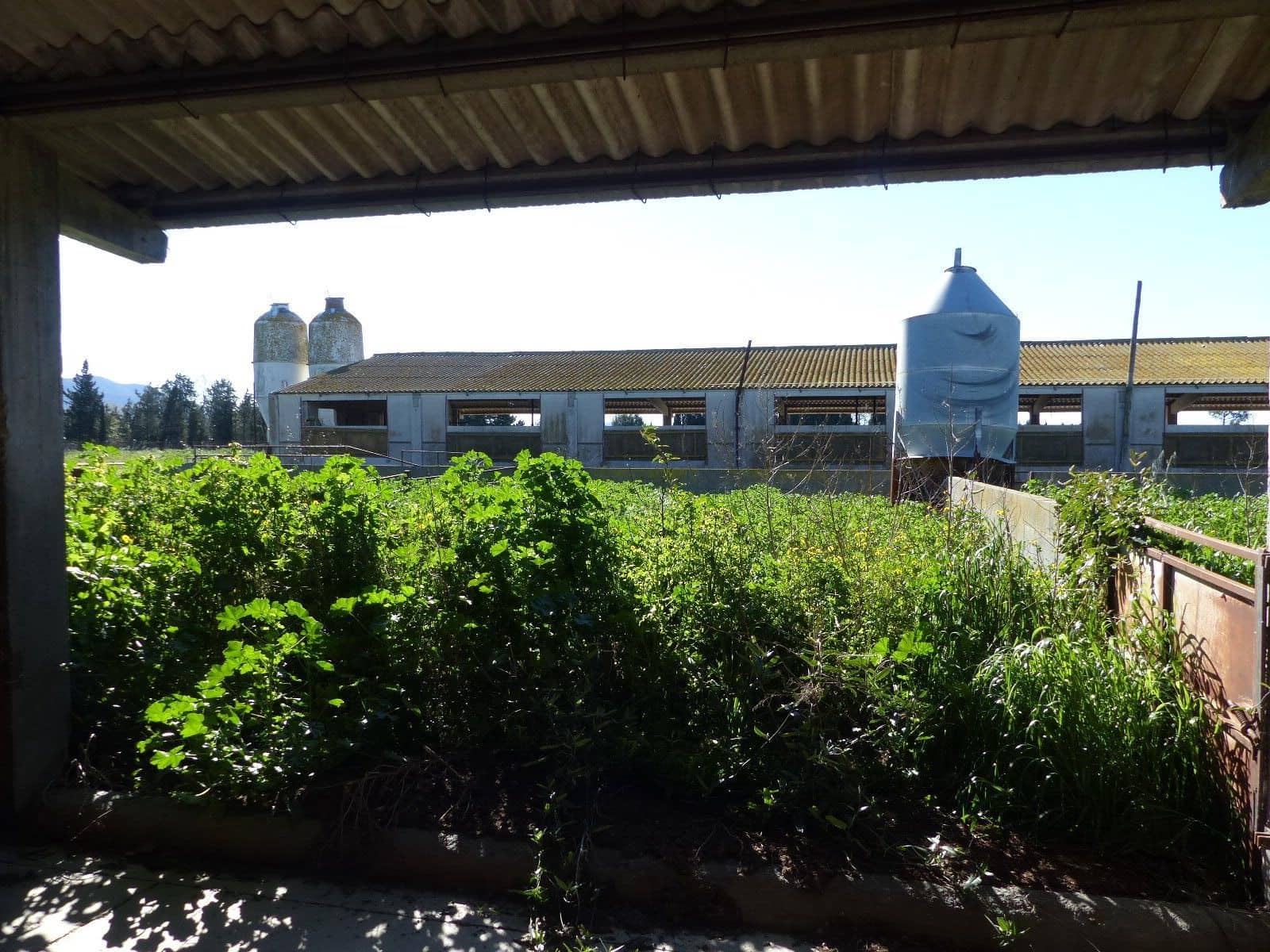 Finca/Landehus til salg i Vilajuiga - € 850.000 (Ref: 9068648)