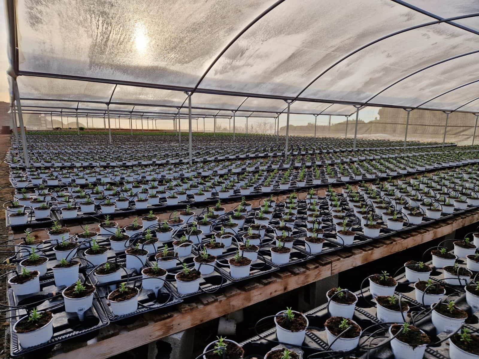 1 soveværelse Finca/Landehus til salg i Canet de Mar - € 380.000 (Ref: 9130675)