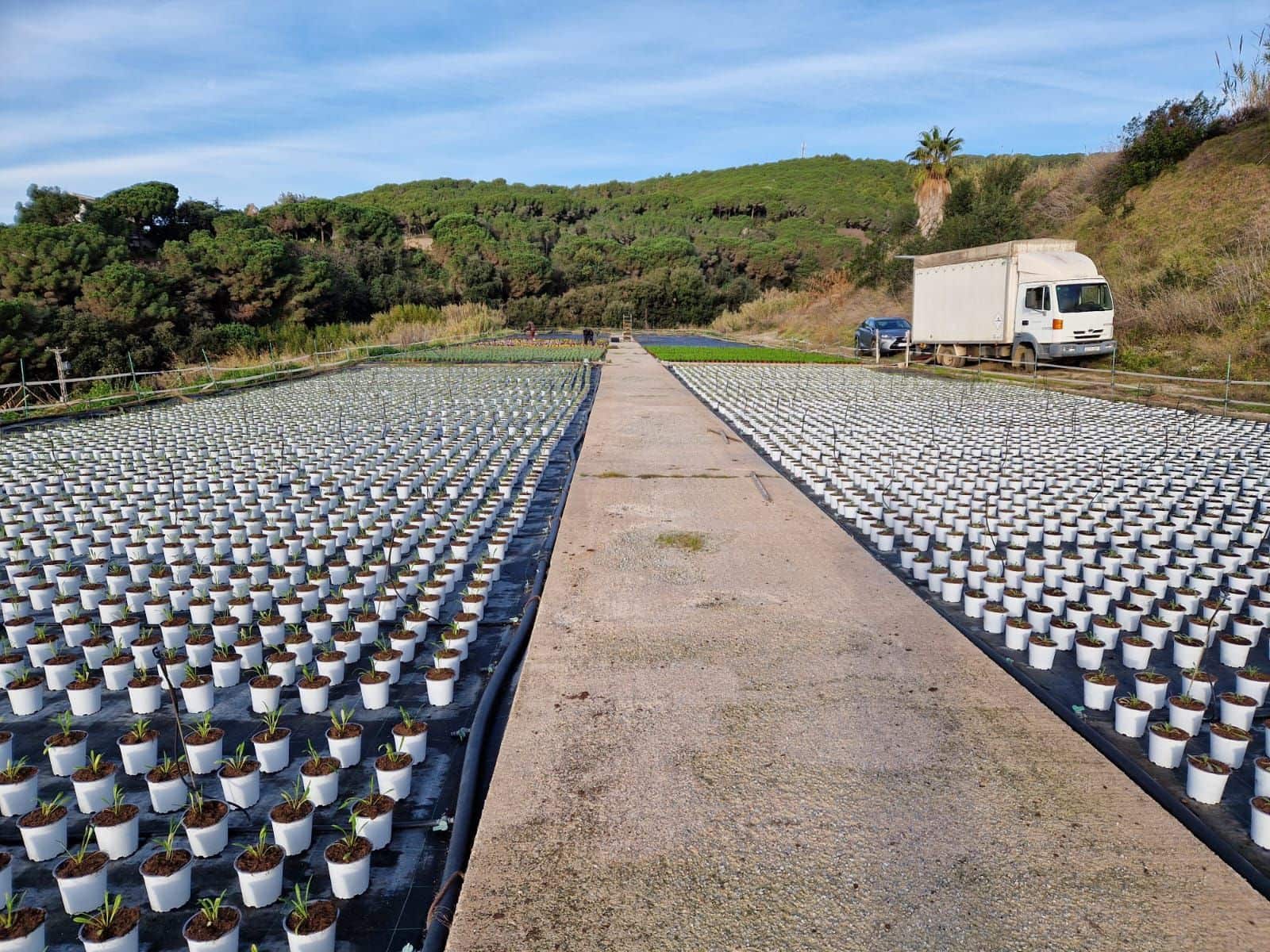 1 soveværelse Finca/Landehus til salg i Canet de Mar - € 380.000 (Ref: 9130675)