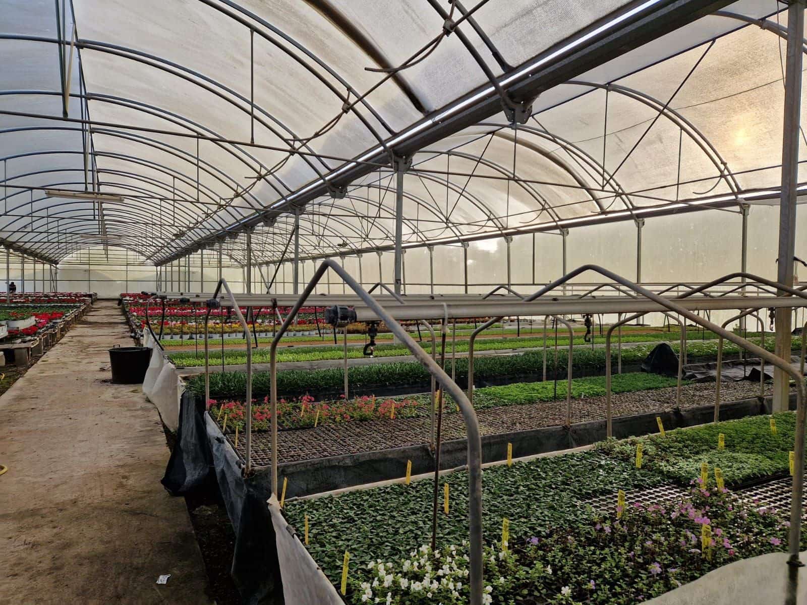 1 soveværelse Finca/Landehus til salg i Canet de Mar - € 380.000 (Ref: 9130675)