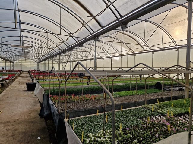 1 sovrum Finca/Hus på landet till salu i Canet de Mar - 380 000 € (Ref: 9130675)