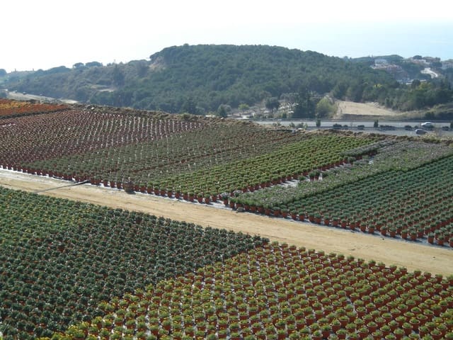 1 sovrum Finca/Hus på landet till salu i Canet de Mar - 380 000 € (Ref: 9130675)