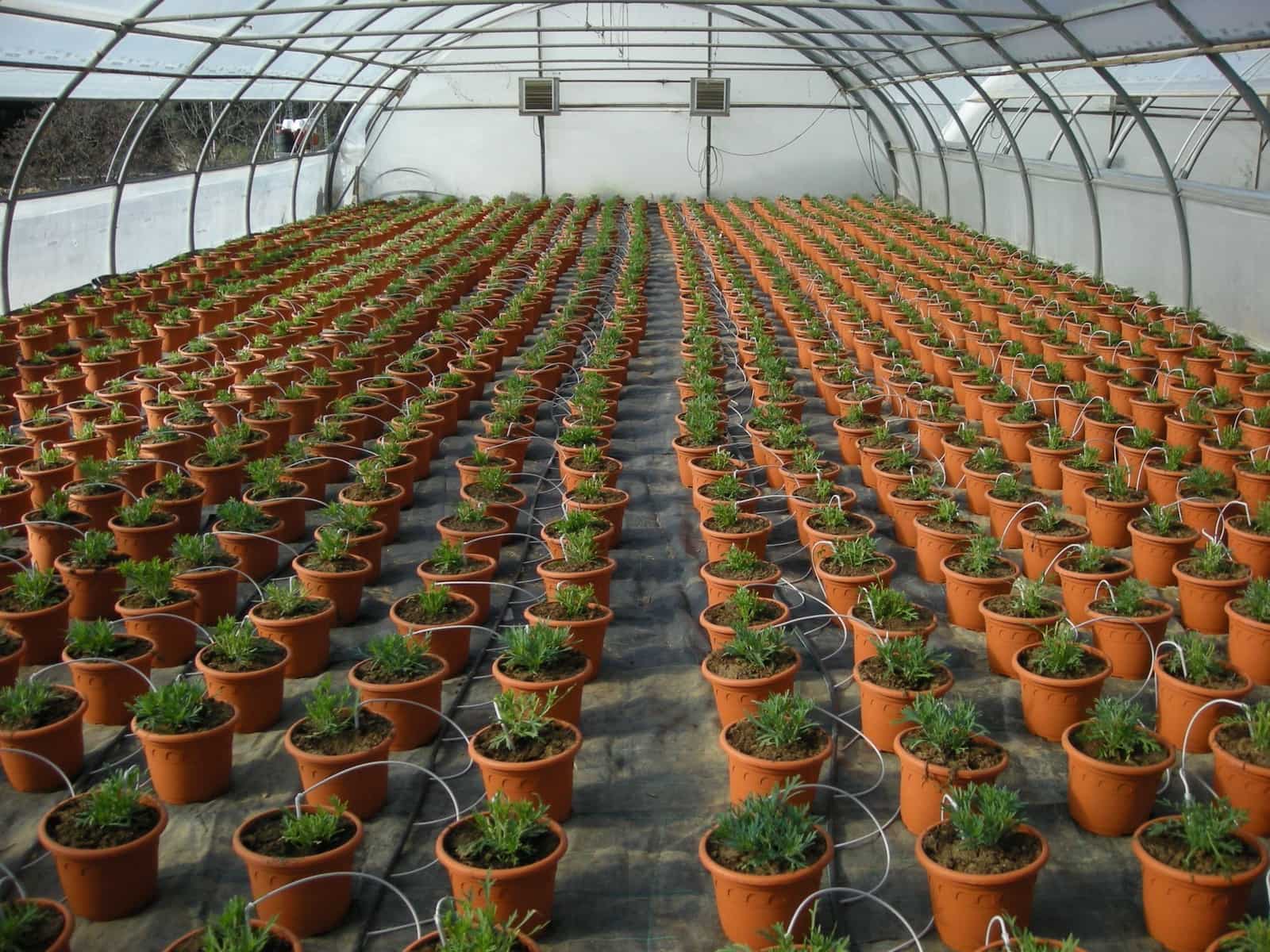 1 soveværelse Finca/Landehus til salg i Canet de Mar - € 380.000 (Ref: 9130675)