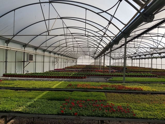 1 sovrum Finca/Hus på landet till salu i Canet de Mar - 380 000 € (Ref: 9130675)