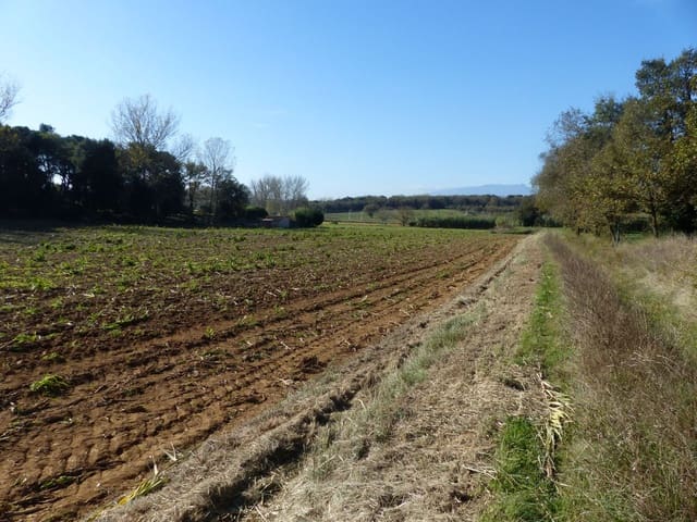 Ubebygd land til salgs i Caldes de Malavella - € 49 000 (Ref: 9200301)