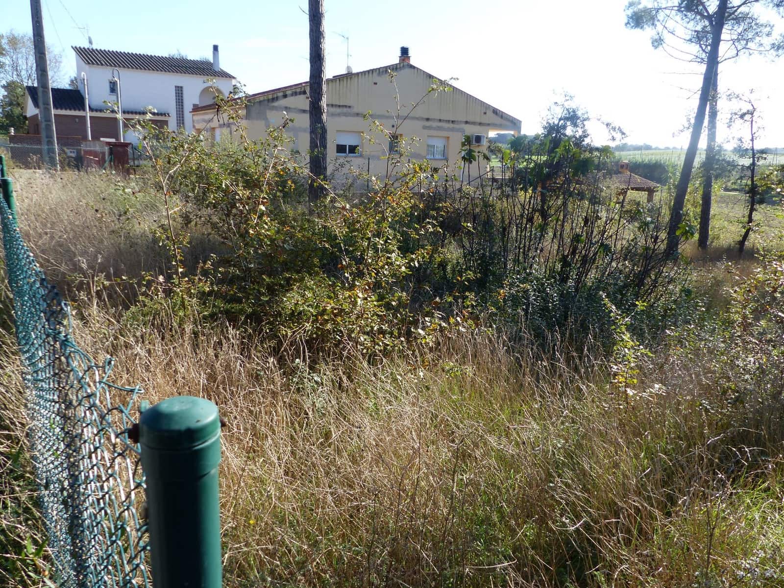 Terreno/Finca Rústica en Caldes de Malavella en venta - 49.000 € (Ref: 9200301)