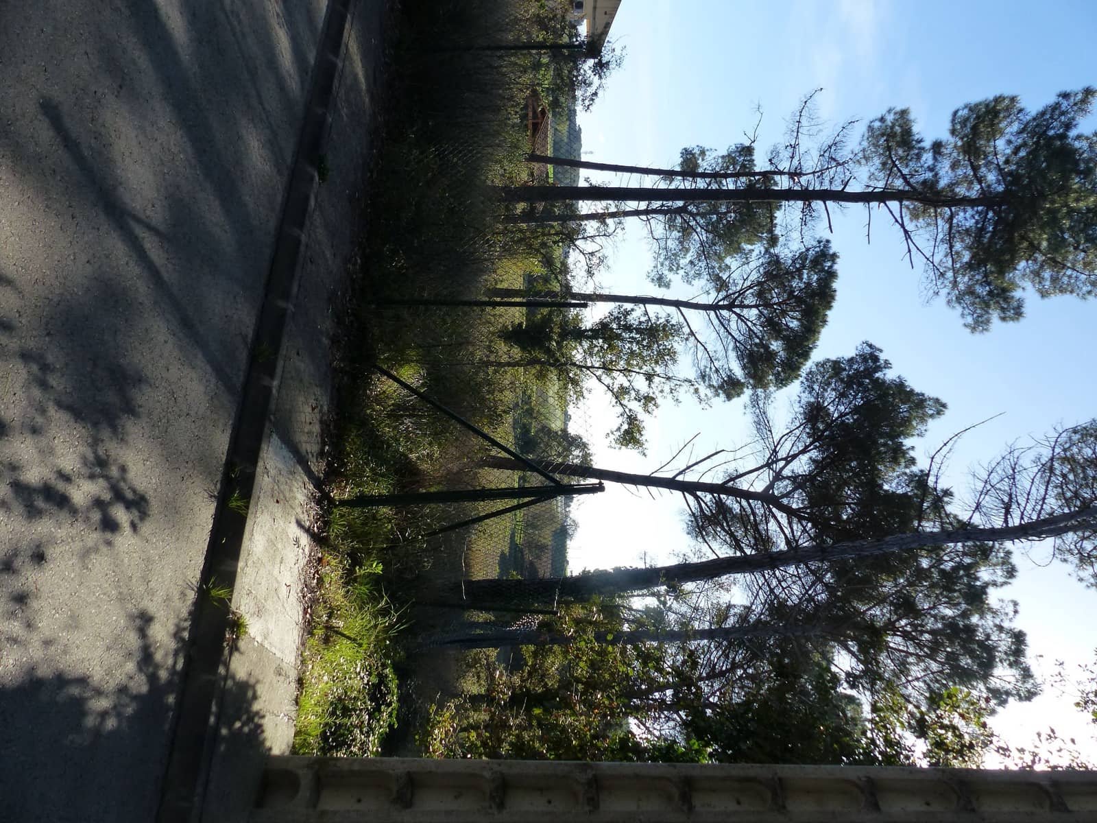 Terreno/Finca Rústica en Caldes de Malavella en venta - 47.000 € (Ref: 9200302)
